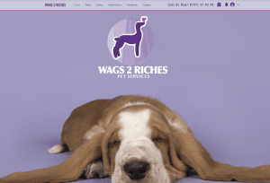 WagsRichespetserviceswebsitedesign